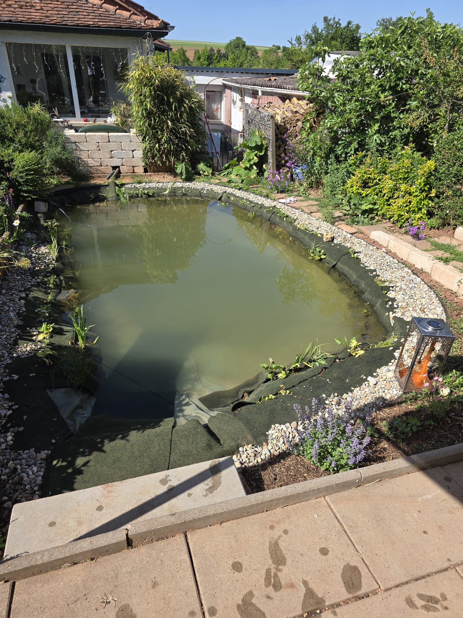 Schwimmteich Privatanlage – Marnheim