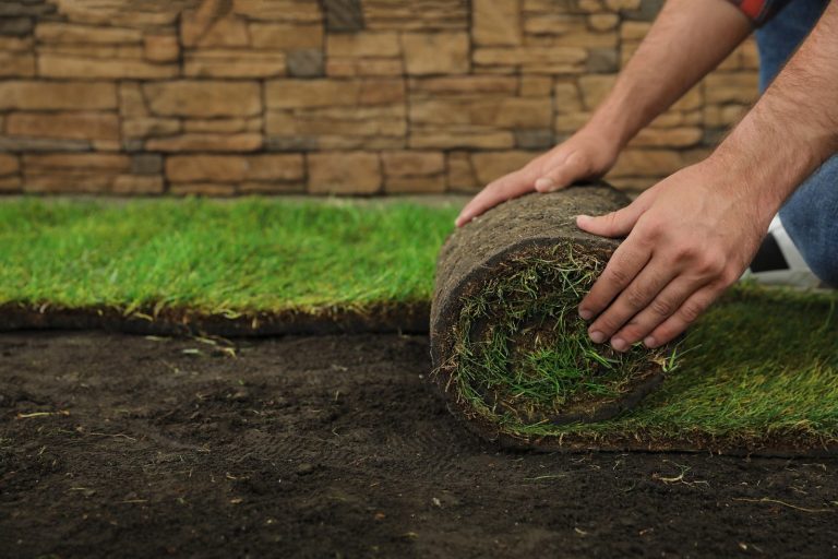 Gartengestaltung